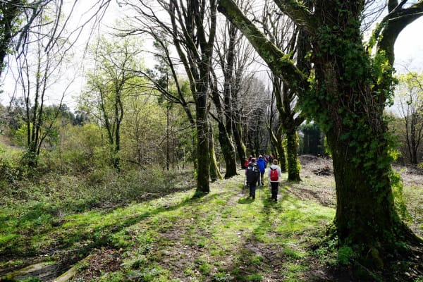 Foto 22 da atividade Galeria de Fotos