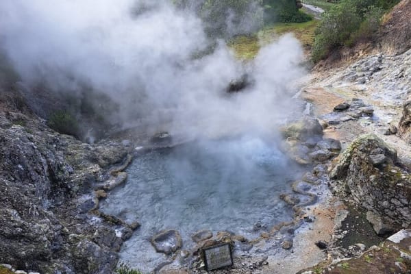 Foto 87 da atividade Galeria de Fotos