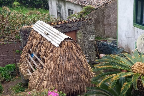 Foto 47 da atividade Galeria de Fotos