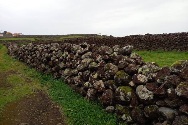 Foto 17 da atividade Galeria de Fotos