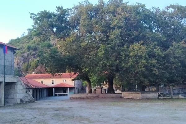 Foto 94 da atividade Galeria de Fotos