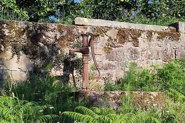 Foto 32 da atividade Galeria de Fotos