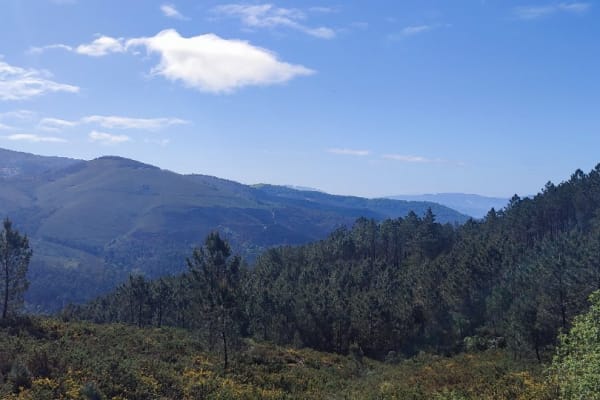 Foto 78 da atividade Galeria de Fotos