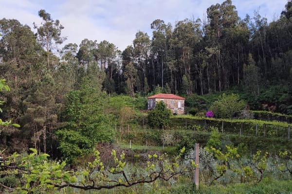 Foto 76 da atividade Galeria de Fotos