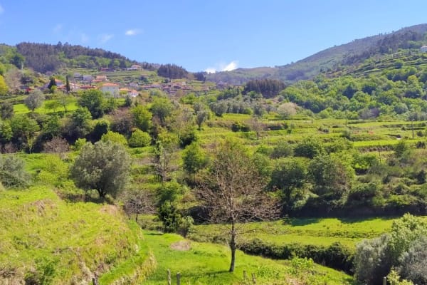 Foto 73 da atividade Galeria de Fotos