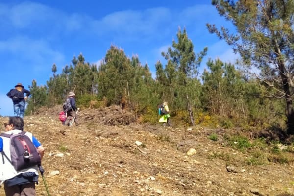 Foto 70 da atividade Galeria de Fotos