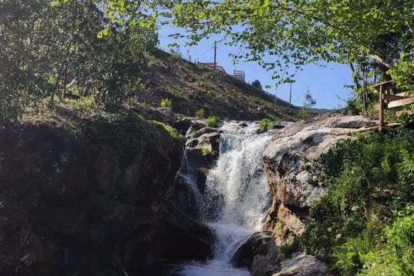 Foto 45 da atividade Galeria de Fotos