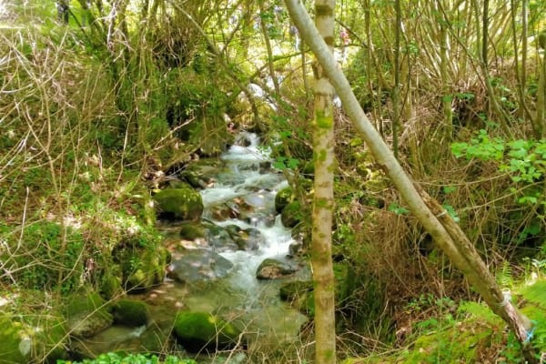 Foto 30 da atividade Galeria de Fotos