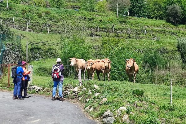 Foto 29 da atividade Galeria de Fotos