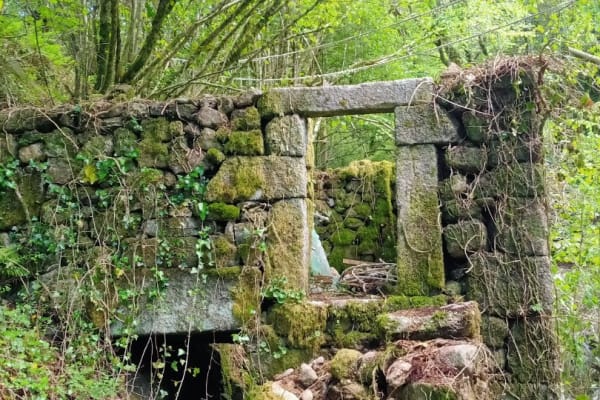 Foto 21 da atividade Galeria de Fotos