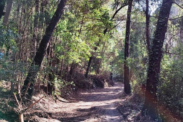 Foto 16 da atividade Galeria de Fotos