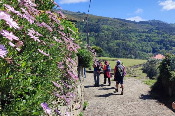 Foto 4 da atividade Galeria de Fotos