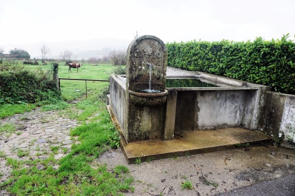 Foto 82 da atividade Galeria de Fotos