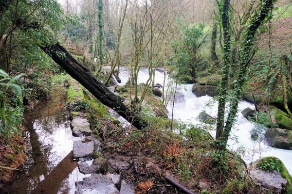 Foto 72 da atividade Galeria de Fotos