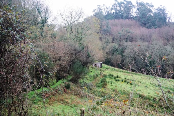 Foto 69 da atividade Galeria de Fotos