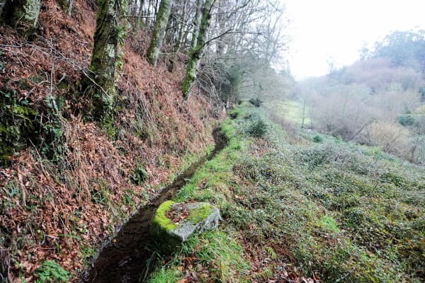 Foto 68 da atividade Galeria de Fotos