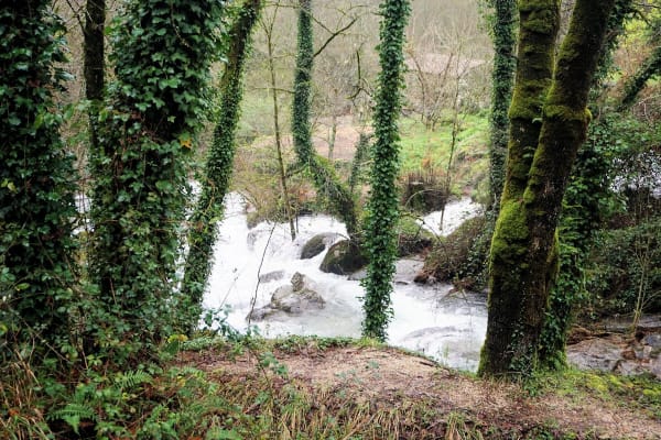 Foto 57 da atividade Galeria de Fotos