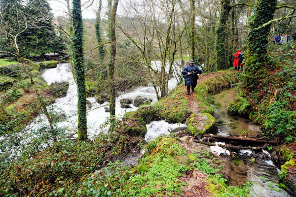 Foto 53 da atividade Galeria de Fotos