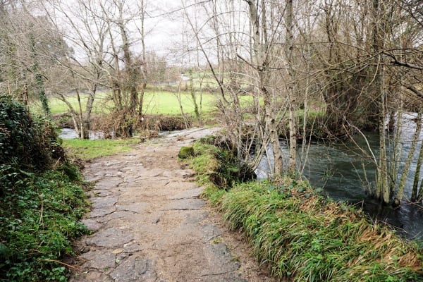 Foto 52 da atividade Galeria de Fotos