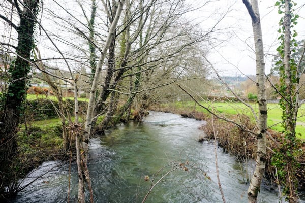 Foto 47 da atividade Galeria de Fotos