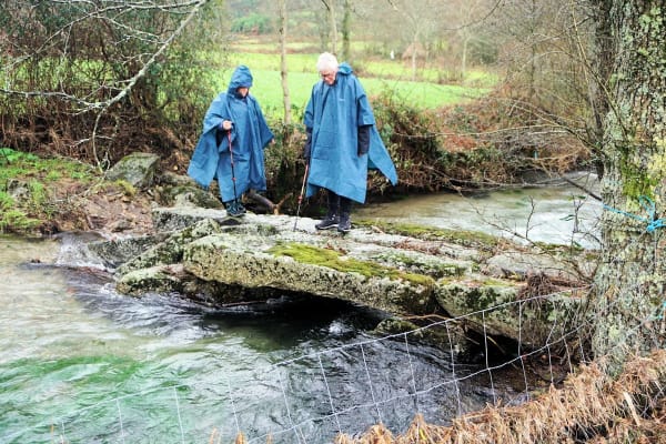 Foto 36 da atividade Galeria de Fotos