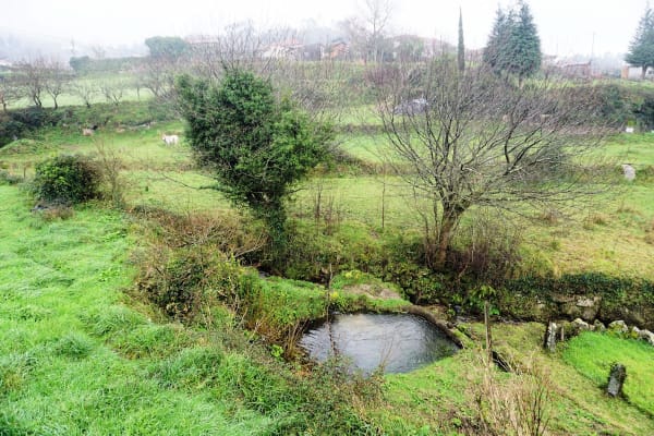 Foto 22 da atividade Galeria de Fotos