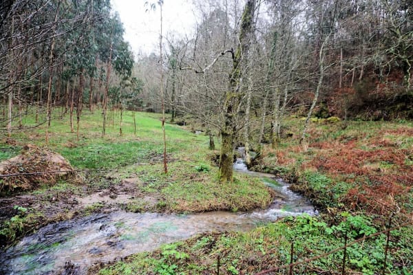 Foto 18 da atividade Galeria de Fotos