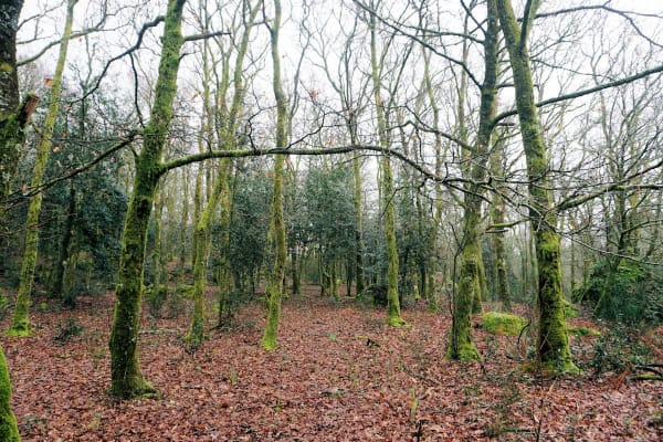 Foto 17 da atividade Galeria de Fotos