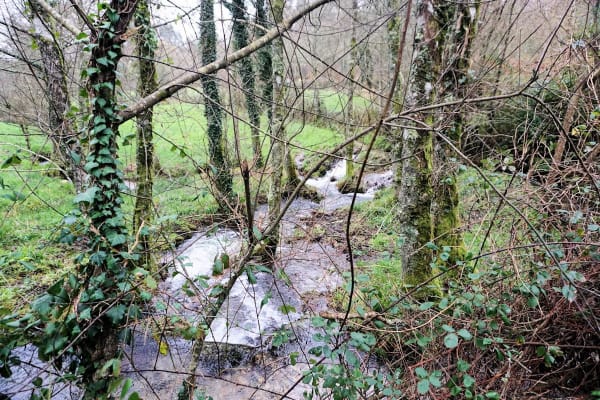 Foto 12 da atividade Galeria de Fotos