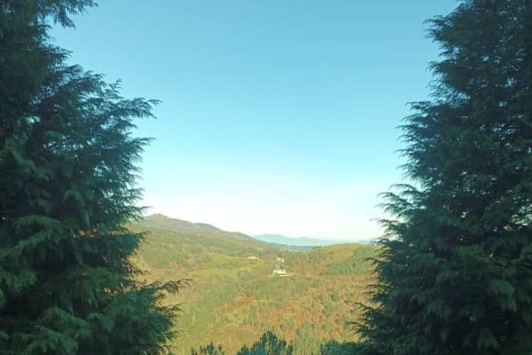 Foto 106 da atividade Galeria de Fotos