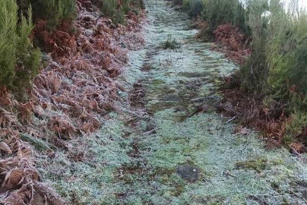 Foto 102 da atividade Galeria de Fotos