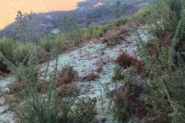 Foto 103 da atividade Galeria de Fotos