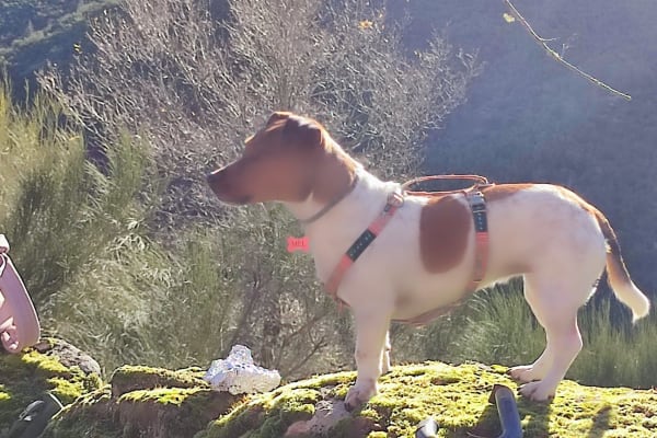 Foto 98 da atividade Galeria de Fotos