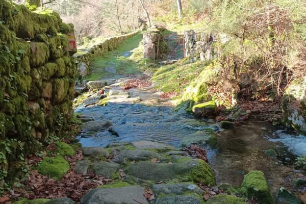 Foto 90 da atividade Galeria de Fotos