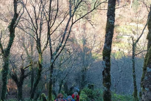 Foto 81 da atividade Galeria de Fotos