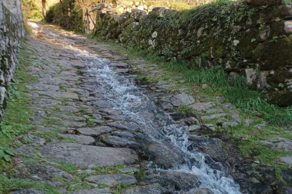 Foto 82 da atividade Galeria de Fotos