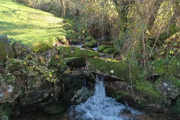 Foto 76 da atividade Galeria de Fotos