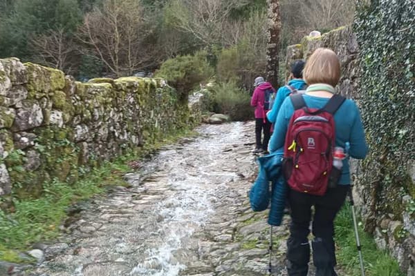 Foto 75 da atividade Galeria de Fotos