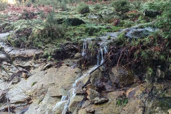 Foto 72 da atividade Galeria de Fotos