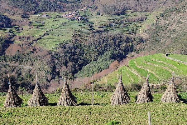 Foto 71 da atividade Galeria de Fotos