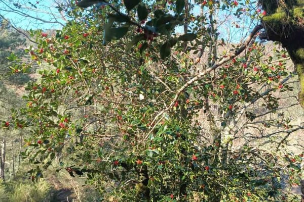 Foto 56 da atividade Galeria de Fotos