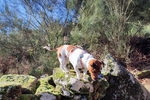 Foto 53 da atividade Galeria de Fotos