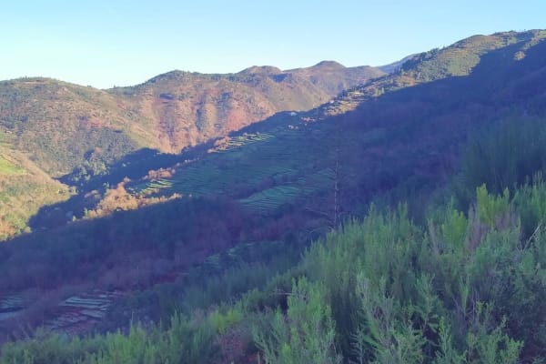 Foto 50 da atividade Galeria de Fotos