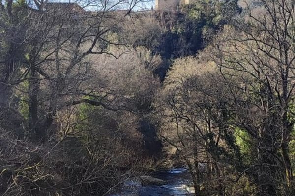 Foto 44 da atividade Galeria de Fotos