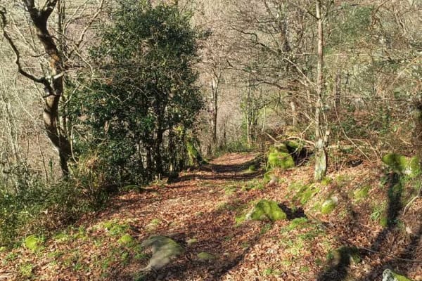 Foto 39 da atividade Galeria de Fotos