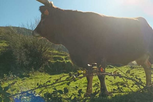 Foto 31 da atividade Galeria de Fotos