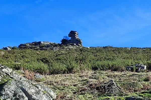 Foto 23 da atividade Galeria de Fotos