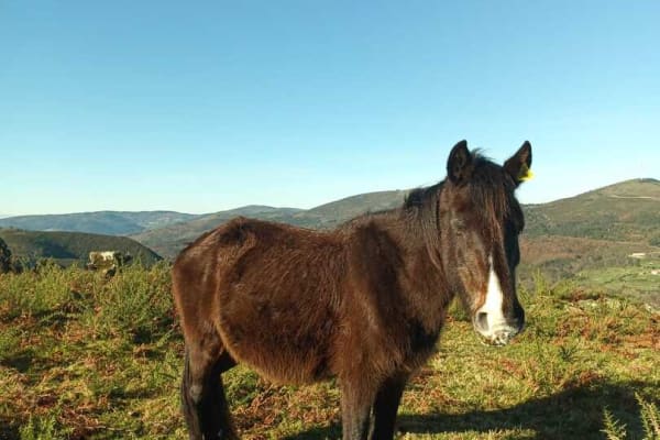 Foto 14 da atividade Galeria de Fotos