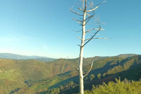 Foto 12 da atividade Galeria de Fotos