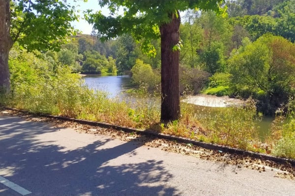 Foto 93 da atividade Galeria de Fotos